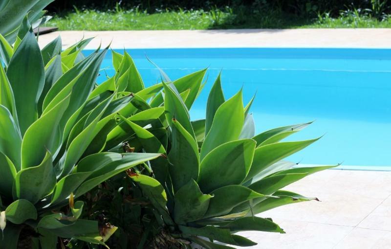 Casa De Campo Na Cidade Da Saude セーハ・ネグラ エクステリア 写真